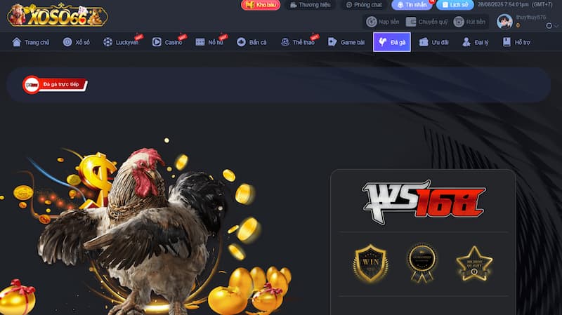 Sảnh đá gà WS168